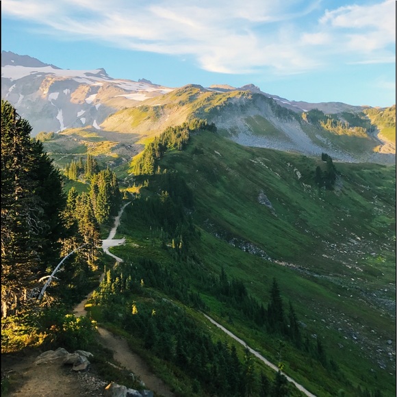 Meet your posher - Picture 4 of 7